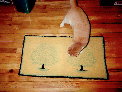 Tree wool hooked rug with cat "Bob"